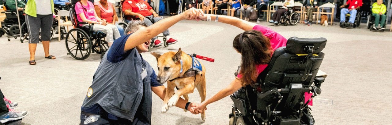 k9 Therapy corps - getting involved at Shirley Ryan ϲʼʱ